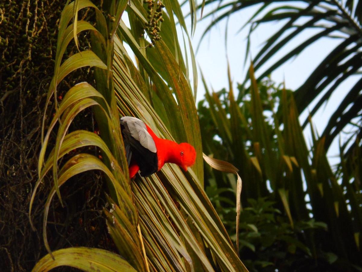 Hotel Vista Farallones Jardín Kültér fotó