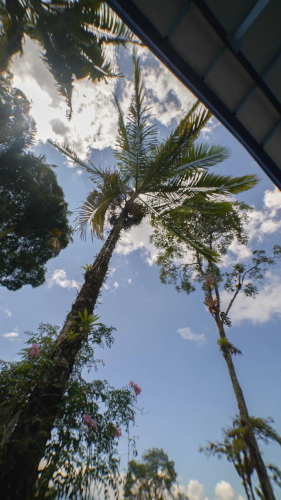 Hotel Vista Farallones Jardín Kültér fotó